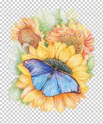Butterfly on flower drawings with color. Monarch Butterfly Flower Drawing Painting Png Clipart Art Colored Pencil Daisy Family Flower Flower Arranging Free