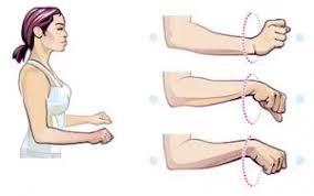 Wrist Rotations