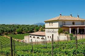 3,234 likes · 38 talking about this · 903 were here. Ronda Wineries Bodegas En Ronda Ronda Wine Holidays
