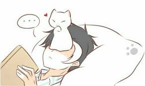 Jumin Han Cute Cat Neko Elizabeth 3rd Reading Book Bed Heart Text Mystic Messenger Mystic Messenger Jumin Mystic Messenger Jumin Han Mystic Messenger