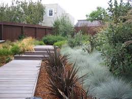 Entry To Studio Using Decking Tiles Boardwalk Through Garden Arterra Llp Landscape Arch Modern Landscaping Modern Landscape Design Succulent Landscape Design