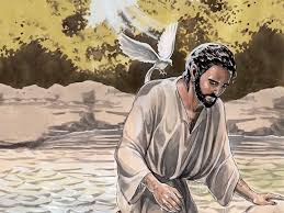 What Does A Dove Symbolism 9 Meanings We See In The Bible Think About Such Things
