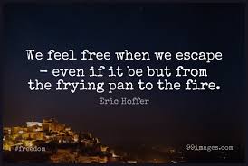 Free fire whatsapp group rules: 100 Short Freedom Quote By Eric Hoffer About Fire Frying Pans Literature For Whatsapp Dp Status Instagram Story Facebook Post 614x414 2021