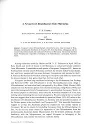 Image result for Nesogenaceae