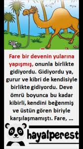 Furkan Sahin Adli Kullanicinin Gunaydin Panosundaki Pin Komik Fikralar Fareler Komik Metinler
