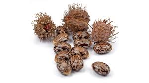 Image result for Ricin