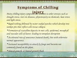 Chilling Freezing Stress In Crops