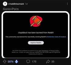 No way dude says watching gore is better than porn : rredditmoment