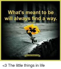 Check spelling or type a new query. What S Meant To Be Will Always Find A Way Unknown The Little Things In Life 3 The Little Things In Life Life Meme On Me Me