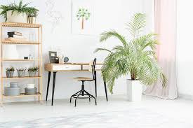 We did not find results for: How To Care For Palm Trees