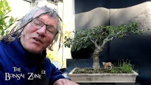 Image result for Burttdavya