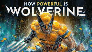 Image result for wolverine
