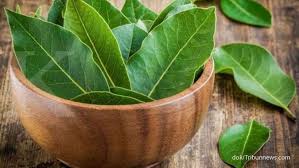 Maybe you would like to learn more about one of these? Khasiat Daun Salam Berguna Untuk Kesehatan Kulit Dan Rambut