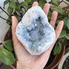 1 66lb Raw Celestine Geode Celestite Geode Celestine Cluster Celestite Cluster Raw Celestine Raw Celestite Natural Crystal Celestite Celestine Celestite Geode