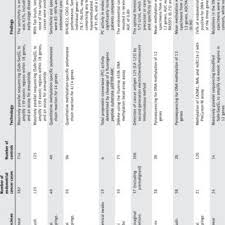 Endometrial cancer, the main type of uterine cancer, starts in the cells that make up the endometrium—the lining of the most common symptom of endometrial cancer is unusual vaginal bleeding, either in between early signs of cancer by type. Pdf New Perspectives On Screening And Early Detection Of Endometrial Cancer