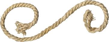 Rope Png Transparent Cartoon Jing Fm Download free rope png images. rope png transparent cartoon jing fm