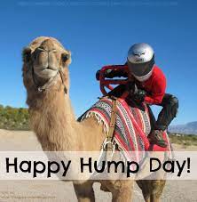 Make your own images with our meme generator or animated gif maker. Guess What Day It Is Humpday Rider Quotes Motorcycle Memes Cool Motorcycles