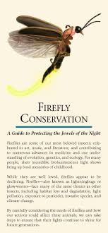نتیجه جستجوی لغت [fireflies] در گوگل