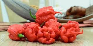 2019 Scoville Scale Ultimate List Of Peppers Their Shus