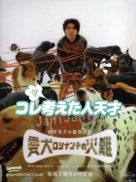 向井荒太の動物日記 〜愛犬ロシナンテの災難〜 最終話