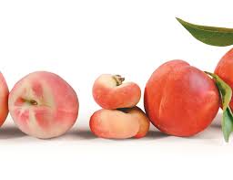 Check spelling or type a new query. All About Peaches