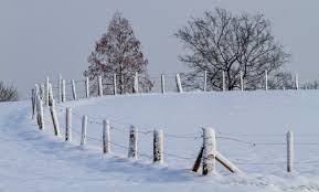 Bildergalerie Schnee Schnee Und Noch Mehr Schnee Essen