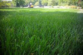 344 likes · 3 were here. Duvall Lawn Care Inc 17620 State Route D Saint Joseph Mo Lawn Services Mapquest