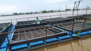 Kalselpedia Budidaya Keramba Ikan Di Sekitar Ulek Marabahan Banjarmasin Post