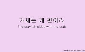 Birds Of A Feather Lyrics Korean Sayings Proverbs And Idioms 3 Sayings Proverbs Korean