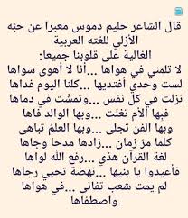 لا تلمني في هواها