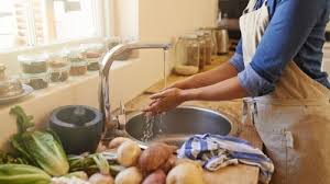 Ungeziefer Im Haus Erkennen Bekampfen