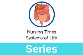 Anatomy And Physiology Of Ageing 3 The Digestive System Nursing Times