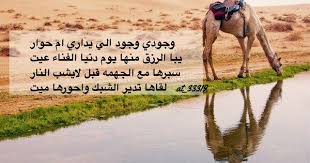 شعر نبطي قصيد ابيات قوافي عشق قافية غزل مدح كلمات خواطر بو ح Quotes