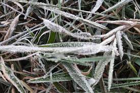 We did not find results for: Fenomena Embun Es Muncul Di Dieng Pertama Di Tahun 2021