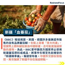 BusinessFocus | 商業、投資、創科平台| 【@businessfocus.io】BBC揭露新疆「血蕃茄」 涉强迫勞動大量銷往歐洲  部分超市下架產品... | Instagram
