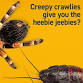 Zoolab –  Halloween Roadshow, Creepy Crawlies event in bexley
