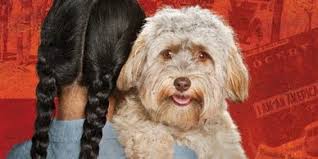 The Scott O'Dell Award