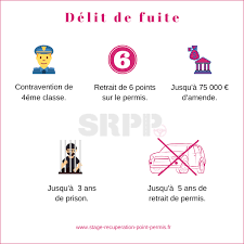 Ancien chef des services détudes de la ratp et ancien conseiller scientifique de l'union internationale des transports publics. Delit De Fuite Amende Perte De Points Et Consequences