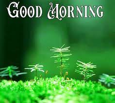Good morning images of nature free download. Free Share And Download These Beautiful Nature Good Morning Images Pictures And Wallpapers Good Morning Nature Good Morning Images Good Morning Nature Images