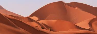 Below are 41 working coupons for dunes private server codes from reliable websites that we have updated for users to get maximum savings. Namib Desert Amazing Facts About It By Safarihub