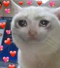 images?q=tbn:ANd9GcQ-lFlkvLqSteAx2U63yTjdHW4yPltntaklKw&usqp=CAU