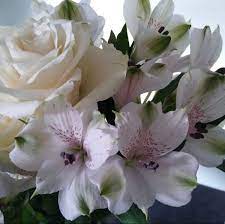 Wholesale White Alstroemeria Flower Alstroemeria Online Wedding Flowers Wholesale Flowers