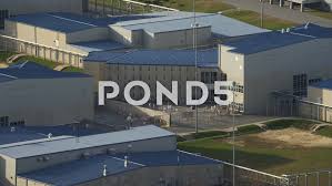 Pin On Logos Design Vintage Brand Identity