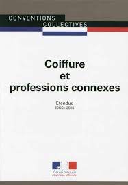 Coiffure Et Professions Connexes Convention Collective Nationale Etendue Idcc 2596 24eme Edition Aout 2018 Tome 3159 Broche Journaux Officiels Achat Livre Fnac