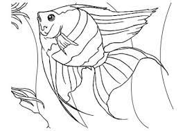 This collection includes mandalas, florals, and more. 35 Free Fish Coloring Pages Printable