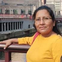 Yessenia Del Socorro Novoa Poveda Obituary (2024)