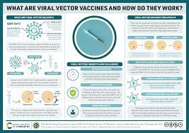 Astrazeneca said the move was without merit. How Does The Oxford Astrazeneca Covid 19 Vaccine Work A Guide To Viral Vector Vaccines Compound Interest