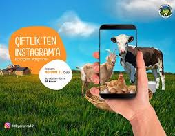Check Out New Work On My Behance Profile Izmir Ticaret Borsasi Alternatif Calisma Http Be Net Gallery 85861375 Zmir Ticaret Borsasa Behance Photoshop Ten