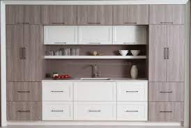 If you are not sure what they are, here is a quick explainer. Help Knobs Or Handles For Flat Panel And Shaker Kitchen