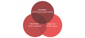 energy systems explained